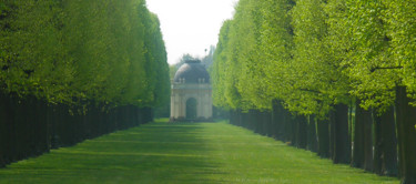 Allee in der Herrenhäuser Gärten